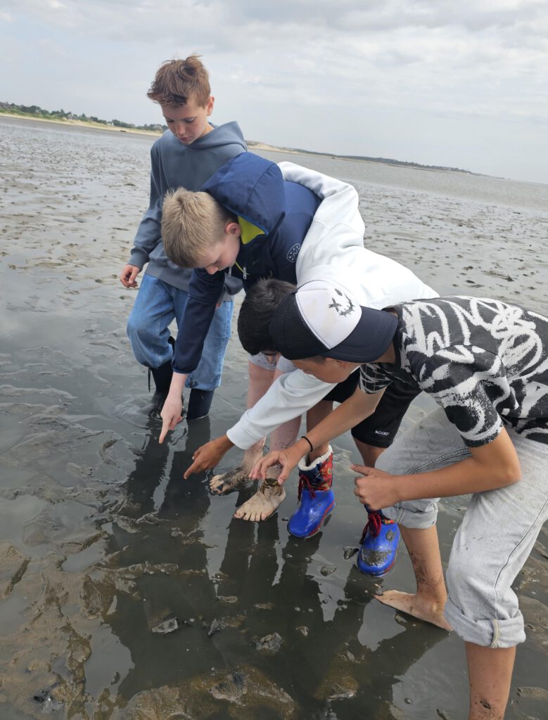 Inselabenteuer Sylt 5