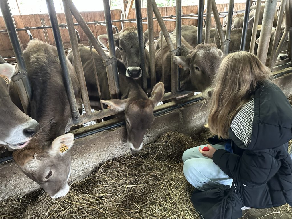 Austauschfahrt nach Frankreich – Freundschaft über Grenzen hinweg