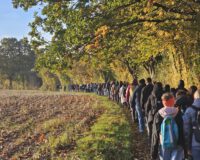 Durch Herbstfarben wandern