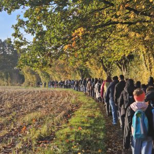 Durch Herbstfarben wandern